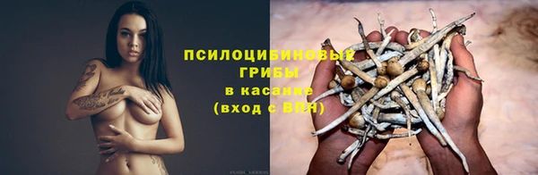 соль ск Абаза