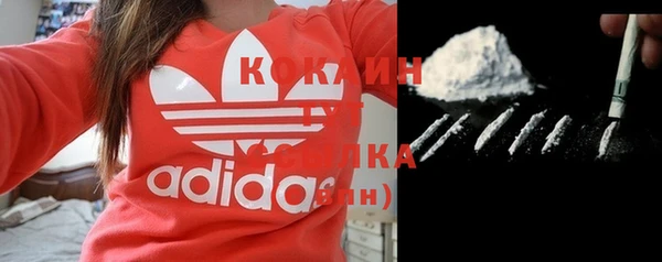 спайс Алзамай