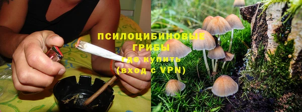 ПСИЛОЦИБИНОВЫЕ ГРИБЫ Алексеевка