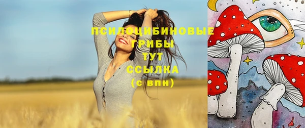 спайс Алзамай