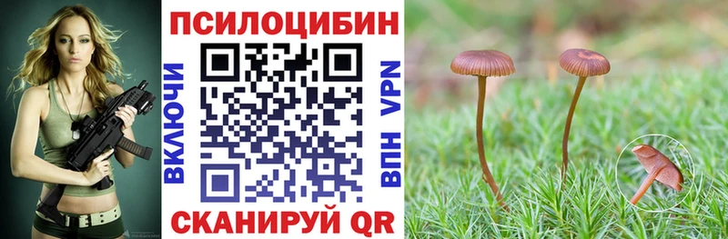 Галлюциногенные грибы Psilocybe Белоозёрский