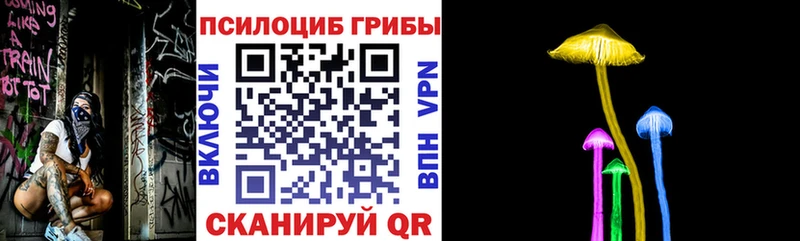 купить наркотики сайты  Белоозёрский  Галлюциногенные грибы мицелий 